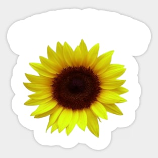 Sunflower lover mask Sticker